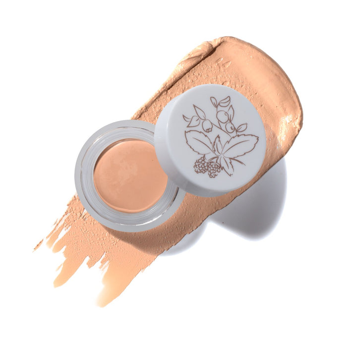 100 Percent Pure Fruit Pigmented Long Last Concealer - The Green Kiss