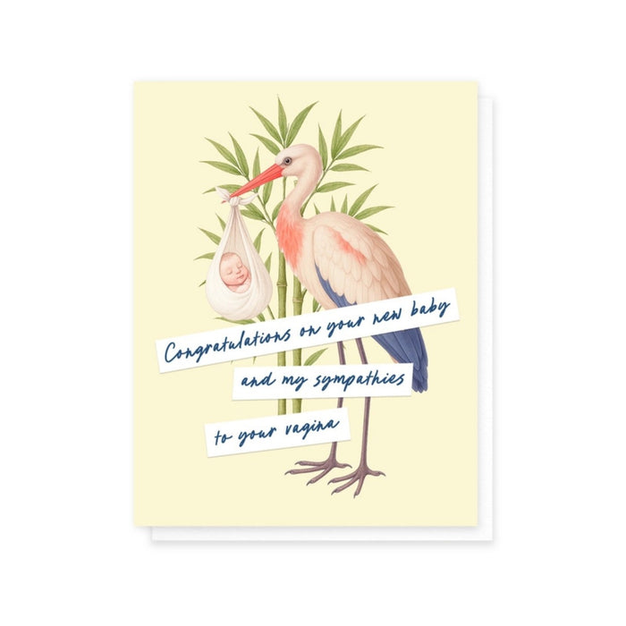 Cardideology Greeting Cards - Congratulations & Sympathies