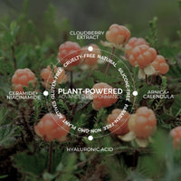 Fitglow Beauty Cloud Ceramide + HA Recovery Balm - The Green Kiss