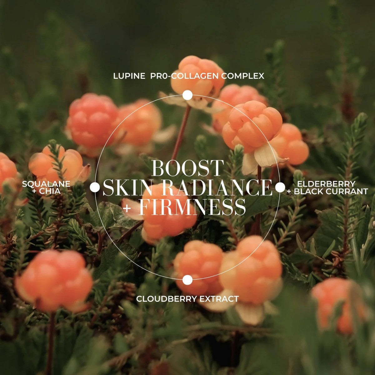 Fitglow Beauty Cloud Collagen Oil - The Green Kiss