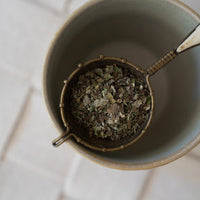 Skwalwen Botanicals Shkweń Blackberry, Devil's Club & Lemon Balm Tea - The Green Kiss