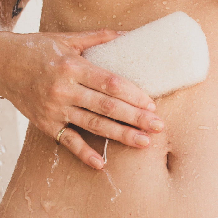 Wyld Konjac Loofah Body Sponge - The Green Kiss
