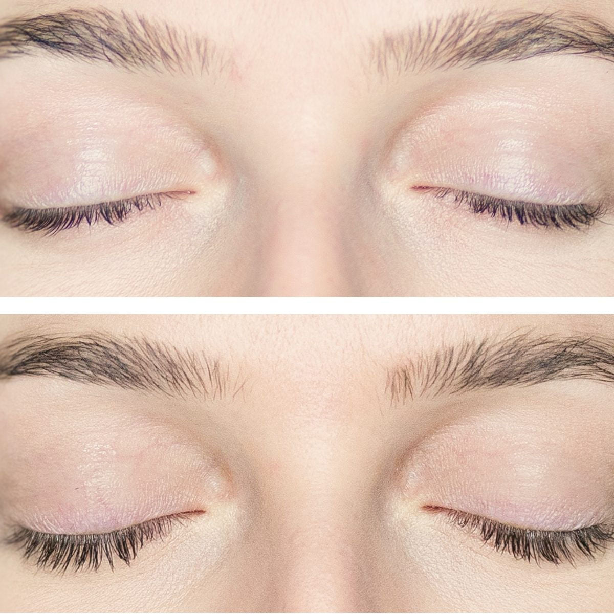 Plume Lash & Brow Enhancing Serum *Reformulated - The Green Kiss