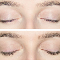 Plume Lash & Brow Enhancing Serum *Reformulated - The Green Kiss
